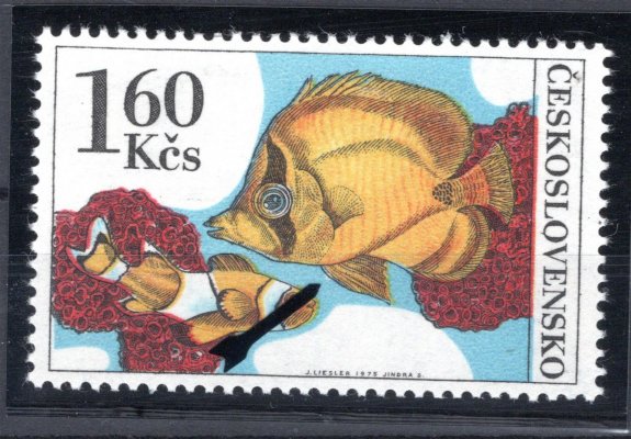 2145 ; Akvarijní ryby DV 4/1 jen č.n. "bílá skvrna u ploutve" + posun barev