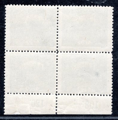 21 D ; 120h šedá ŘZ 11 1/2  - krajový 4 - blok s počítadly - nálepka na horních známkách 