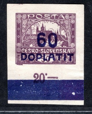 DL 20, doplatní, krajová s počítadlem , dřívko - fialová 60/50