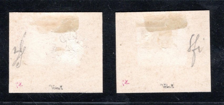 166 - 7 ZT, neotypie v barvě červené, kartonový papír zk. Vrba