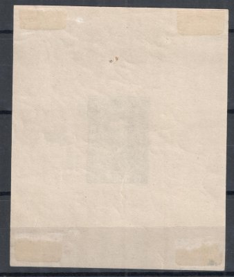 141 ZT - větší list známkového papíru s lepem s otiskem hodnoty 500h Masaryk v tmavě zelené barvě, nerovnoměrný tisk, stopa po nálepce v každém roku, dřívko v papíru, 