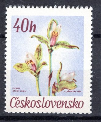 1632; DV 1/1 ; 40 h květina 