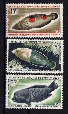 Nouvelle Caledonia - Mi. 415 - 17, výplatní řada, fauna, ryby
