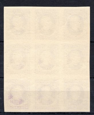 28 N - devíti blok 30 halléřů fialová, - ,, Bílá hlava,, prostřední známka - kat. cena 13 euro 