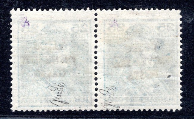 RV 149  ;Šrobárův přetisk, 25  Filler Karel  : dvoupáska 1 x normální + 1 x přetisk převrácený  - zk.Mrňák 