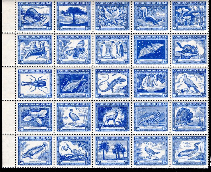 Chile - Mi. 362 - 86, Fauna hledaný soutisk v modré barvě