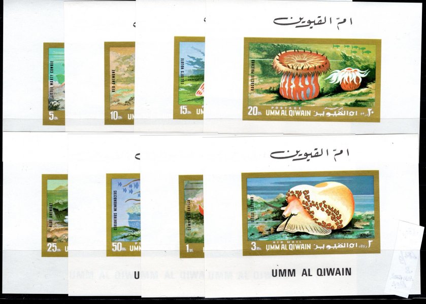 Umm Al Qiwain - Mi. 682 - 9 B,mořská fauna, kompl. řada nezoubkovaných ministerských bloků